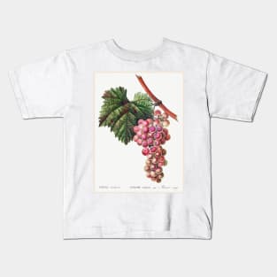 Vitis vinifera (Muscat rouge Kids T-Shirt